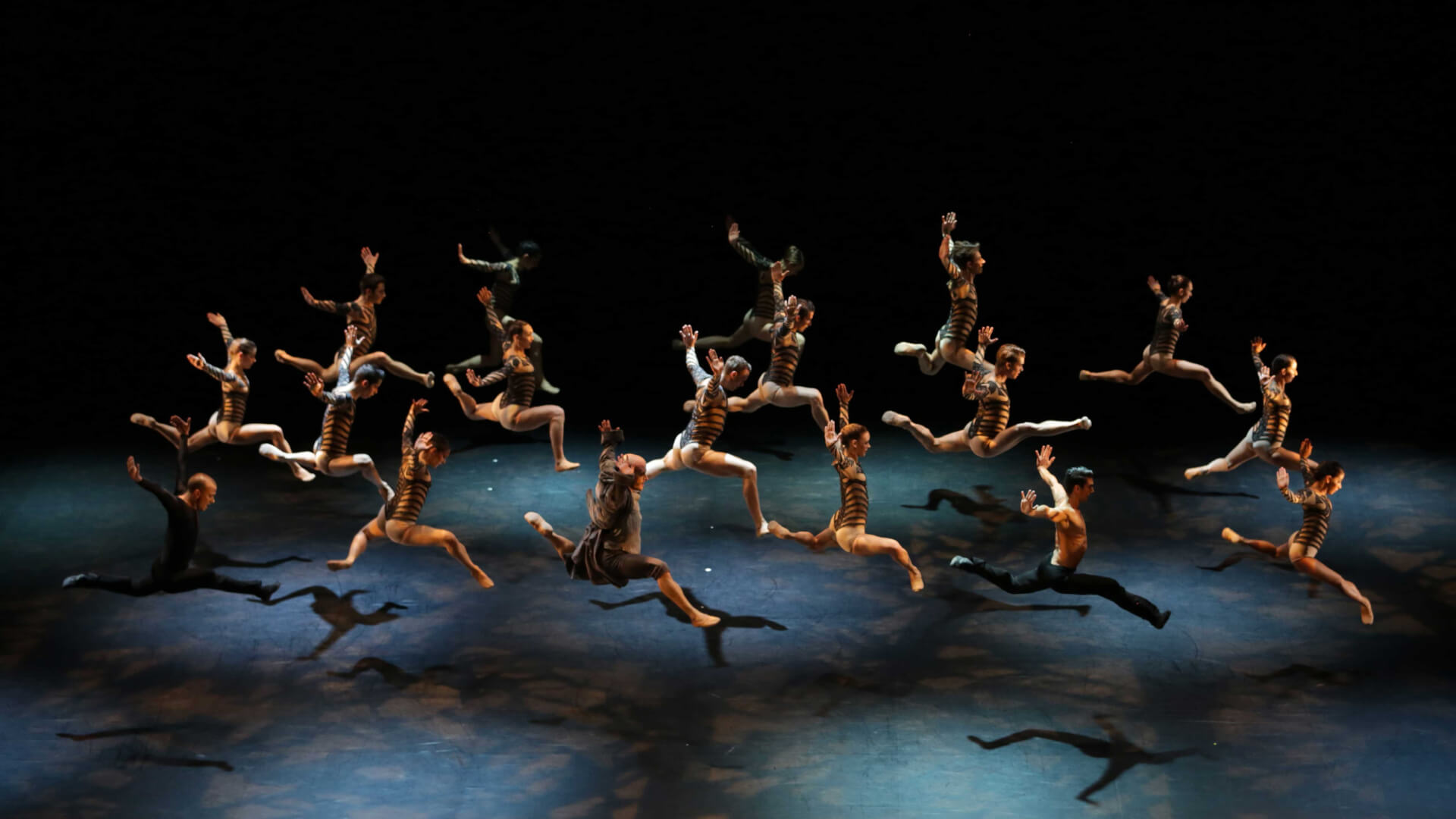 La Belle et la Bête - CCN Malandain Ballet Biarritz